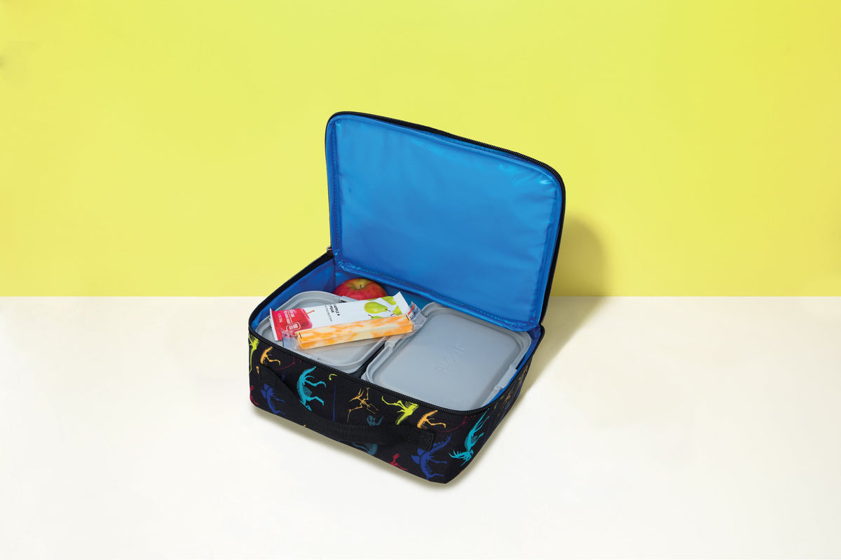 freezable-lunch-box-limited-edition-b3 2022_Lifestyle_Lunch-Box_Dino_Fossils2_Hires.jpg