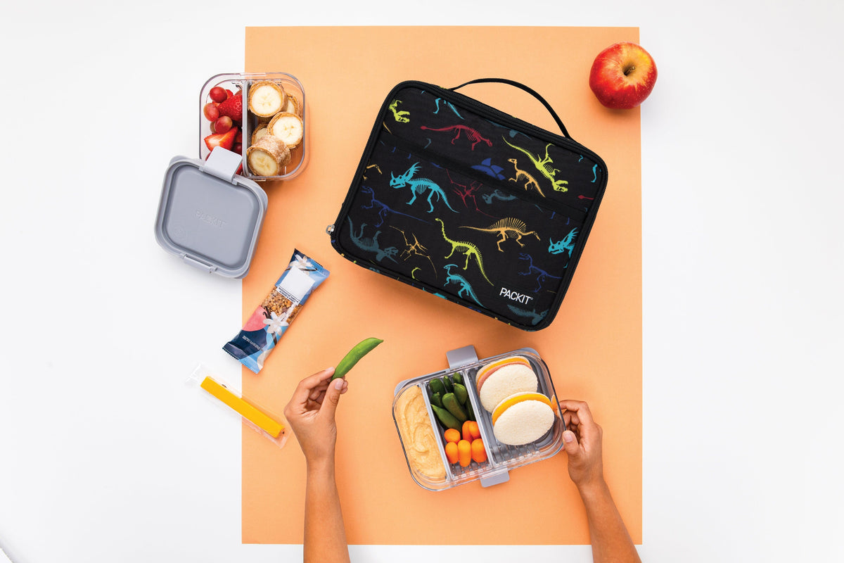 freezable-lunch-box-limited-edition-b3 2022_Lifestyle_Lunch-Box_Dino_Fossils_Hires.jpg