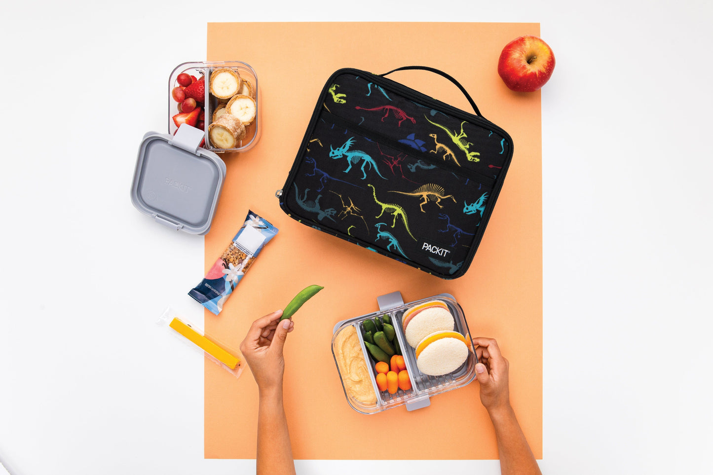 freezable-lunch-box-limited-edition-g6 2022_Lifestyle_Lunch-Box_Dino_Fossils_Hires.jpg